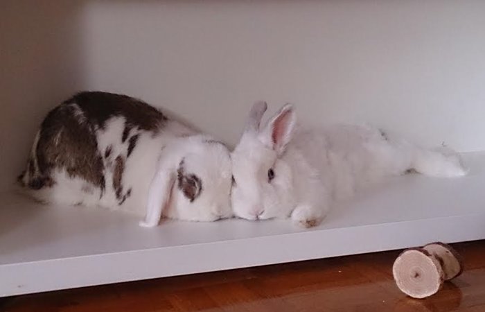 kako upoznati novog muskarca